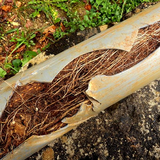 Same Day Drain Sewer & Rooter Pros Across Barnstead